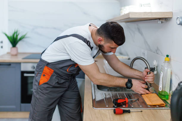 Best Local Plumber Services  in South Haven, IN