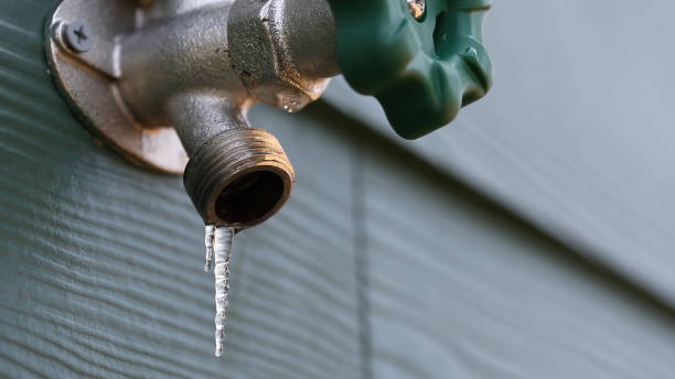 Best Water Leak Repair  in South Haven, IN